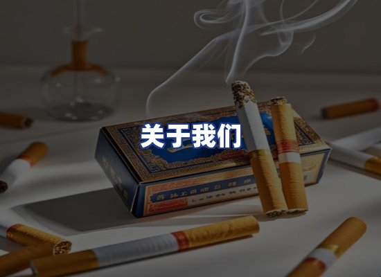 专业团队